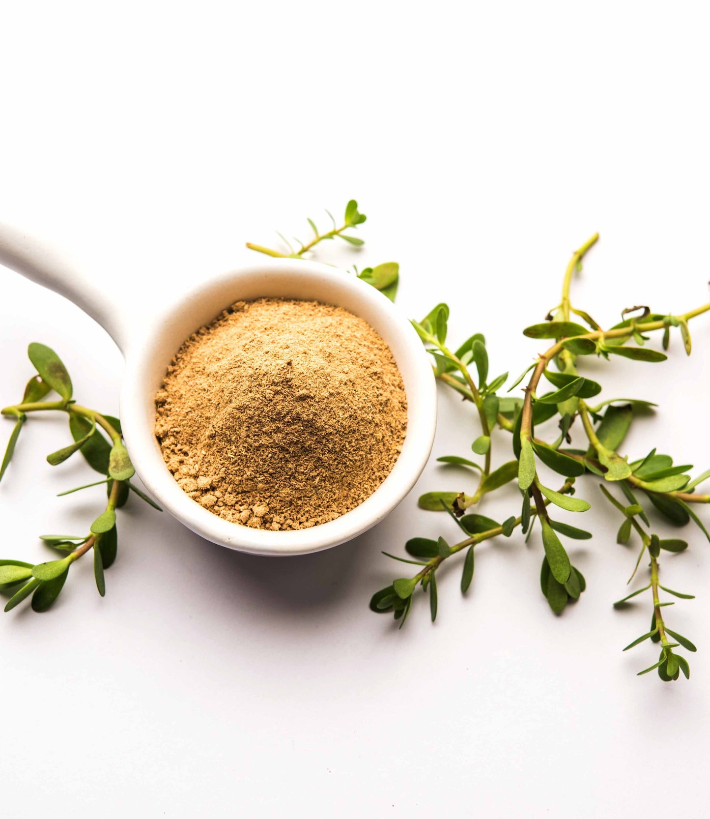 One of the key ingredient of Anti-Age Serum : brahmi