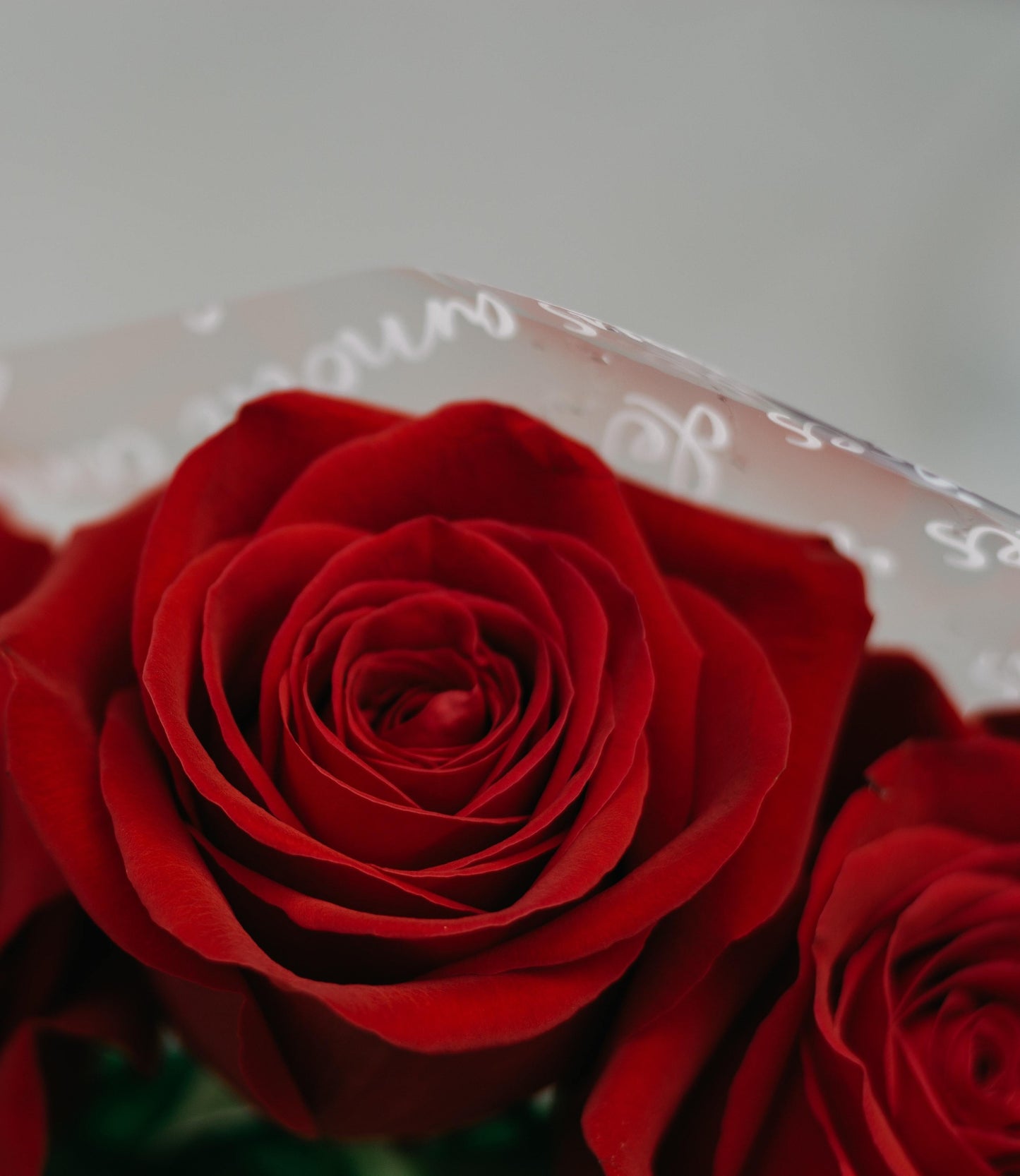 One of the ingredients of Anti-Age Eye Cream : roses